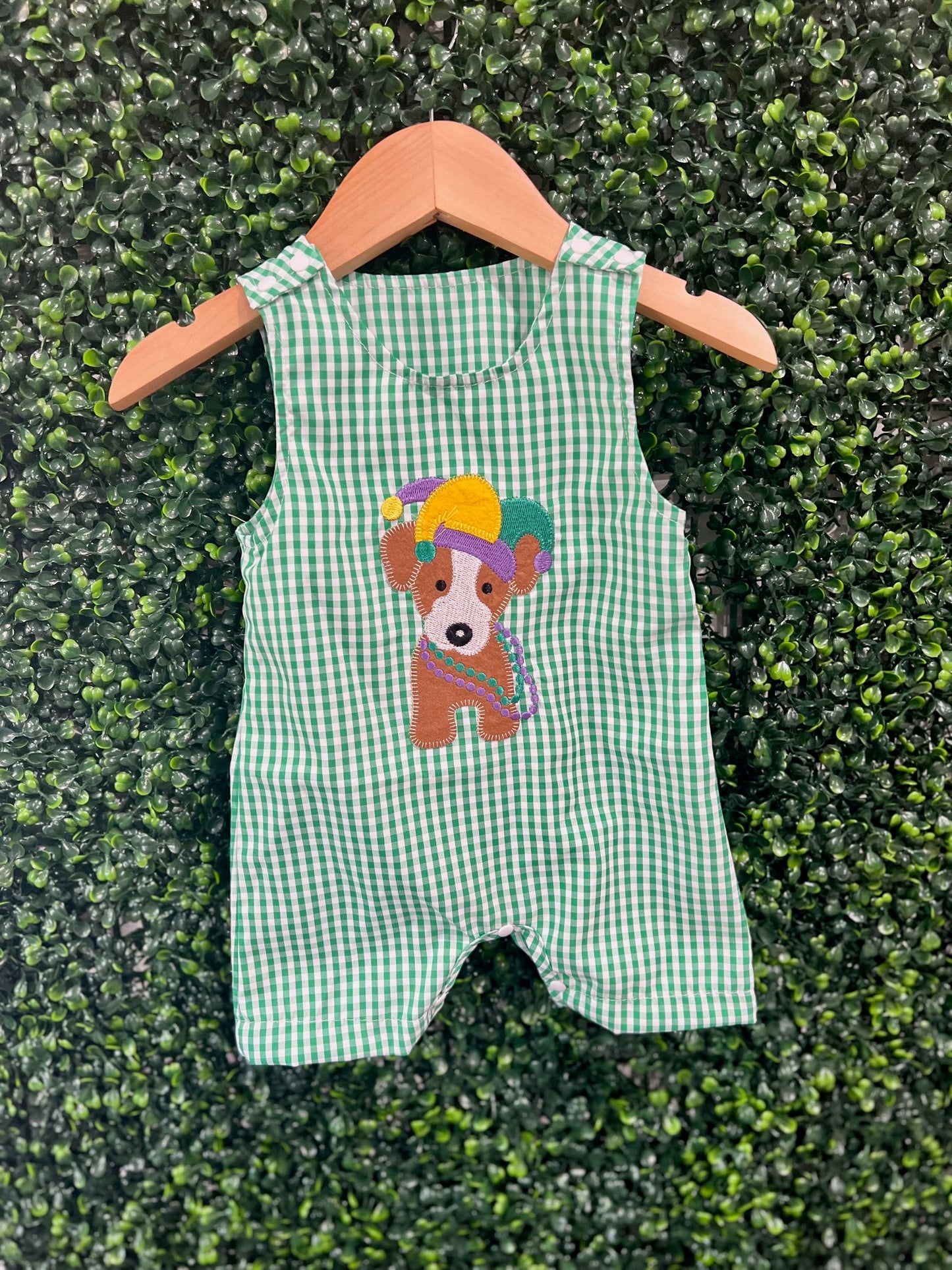 Boys Mardi Gras Doggie Outfit