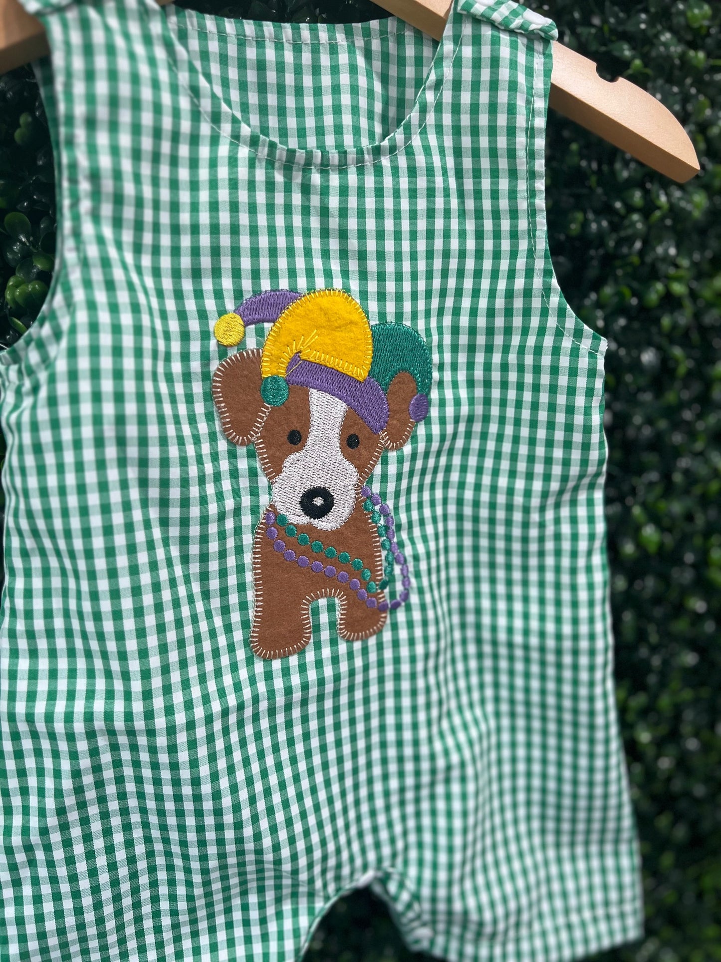 Boys Mardi Gras Doggie Outfit