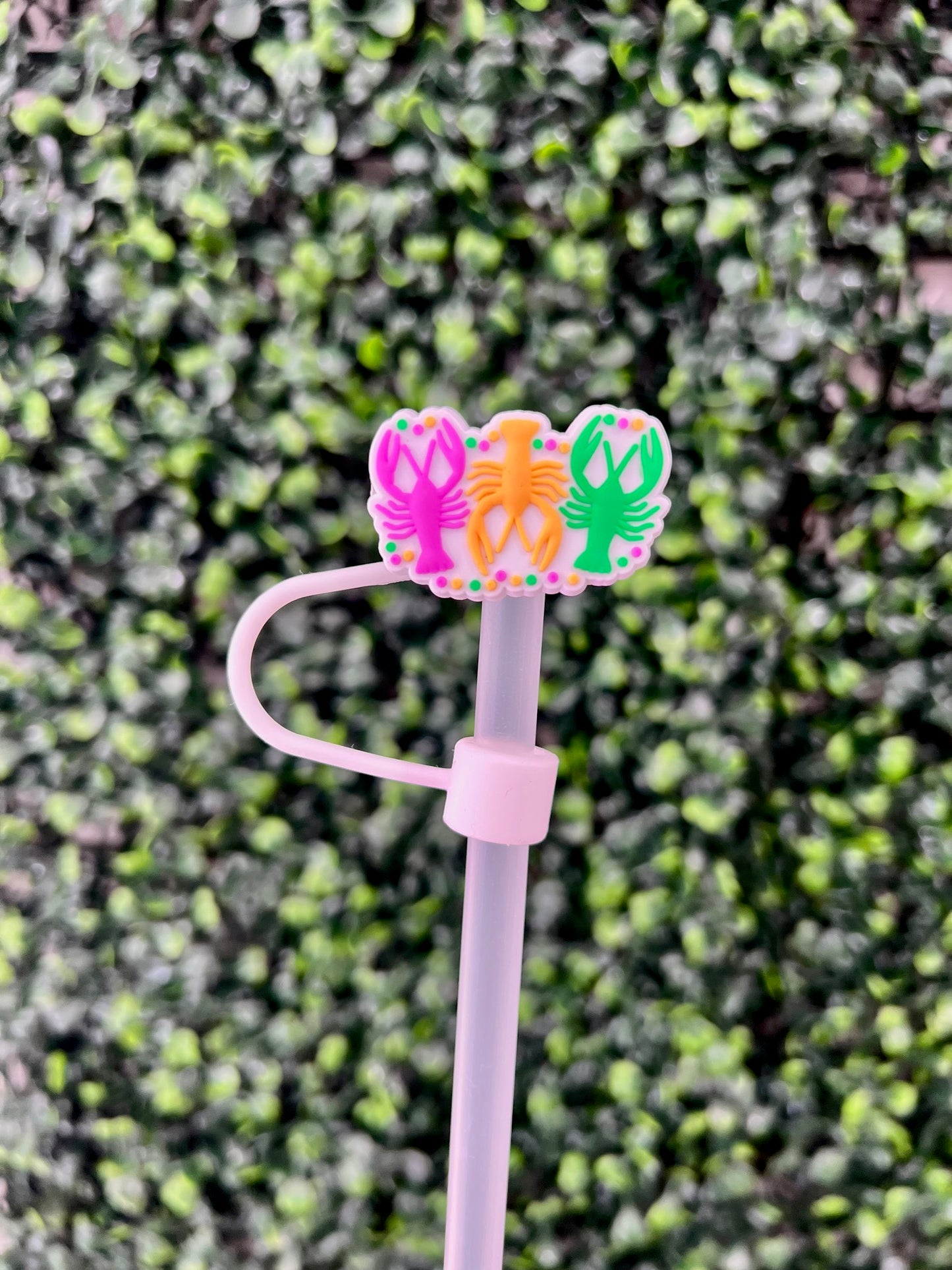 Mardi Gras Straw Toppers | 10mm