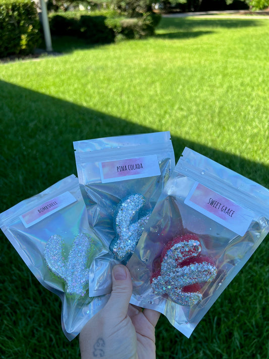 Cactus Glitter Air freshie Vent Clips